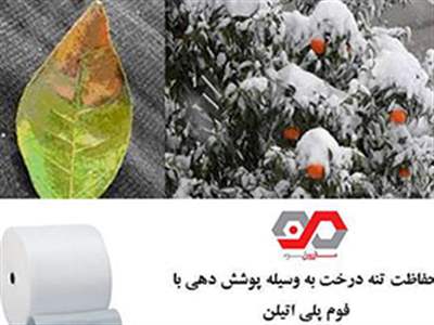 فوم محافظ تنه درخت