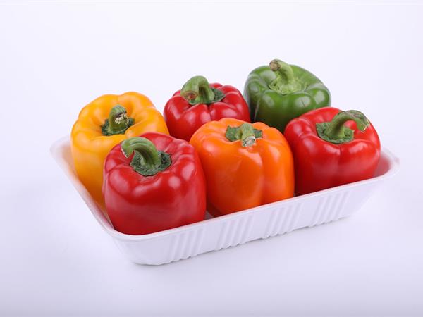 ظروف میوه و پروتئینی