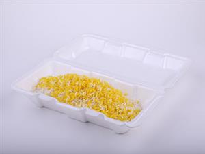 Disposable Double Lunch Box one cell 202 200Pcs