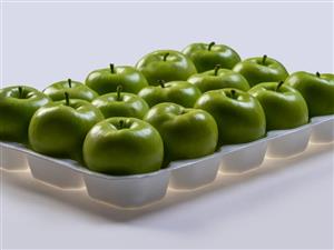 fruit box-218